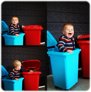 We Clean Bins